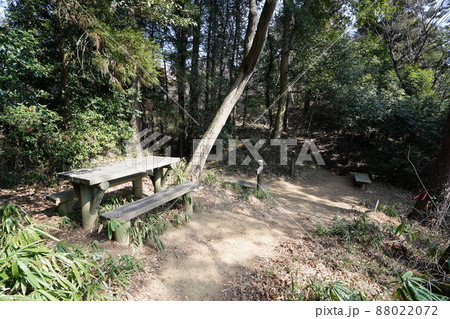 唐沢山神社から諏訪岳に向かう低山ハイキングコース　京路戸峠（きょうろどとうげ）付近 88022072
