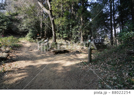唐沢山神社から諏訪岳に向かう低山ハイキングコース　京路戸峠（きょうろどとうげ）付近 88022254