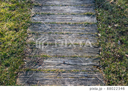 Charming worn old wooden foot path through green grass 88022346