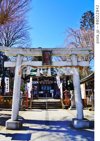 川越八幡宮　 88022842