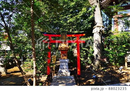 川越八幡宮　こころの小径　稲荷神社 88023235