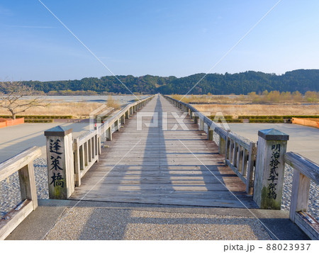 静岡島田_世界最長の木造橋・蓬莱橋 静岡島田_世界最長の木造橋・蓬莱橋 88023937