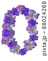 紫色のビオラの背景素材 88024268