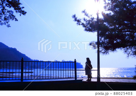 駿河湾の海の夕陽と一人旅女性のシルエット 88025403