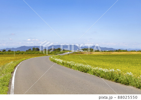 田園風景と大平山 88025550