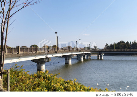 砂沼湖に架かる砂沼大橋 砂沼湖に架かる砂沼大橋 88025946