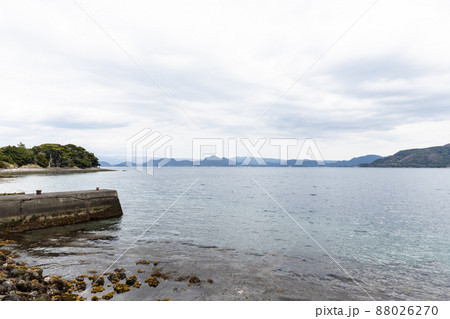 「大瀬崎」 伊豆半島 沼津市 静岡県 「大瀬崎」 伊豆半島 沼津市 静岡県 88026270