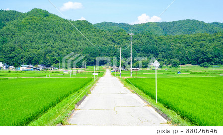 夏の田舎風景 88026646