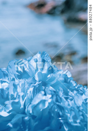 ハワイアンレイ ブルー 青 フラワーレイ 海外旅行 aloha 外旅行 ハワイアンレイ ブルー 青 フラワーレイ 海外旅行 aloha 外旅行 88027484