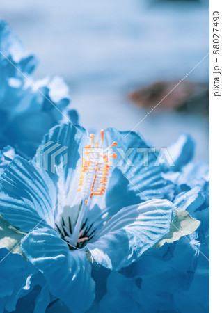 ハワイアンレイ 　ブルー　青　フラワーレイ　海外旅行　aloha　外旅行 88027490