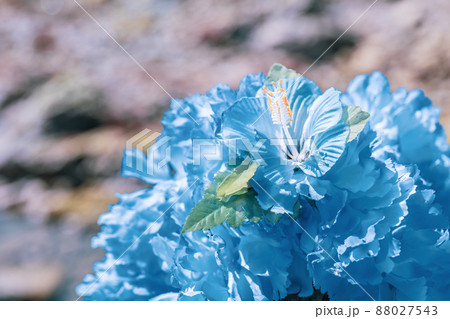 ハワイアンレイ ブルー 青 フラワーレイ 海外旅行 aloha 外旅行 ハワイアンレイ ブルー 青 フラワーレイ 海外旅行 aloha 外旅行 88027543