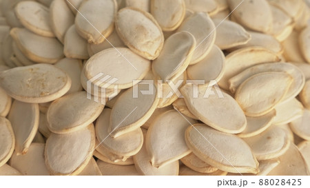 Nuts unpeeled pumpkin seed rotate are on a table in a plate. Snack in transparent dish on an isolated white background are spinning moving. Nuts unpeeled pumpkin seed rotate are on a table in a plate. Snack in transparent dish on an isolated white background are spinning moving. 88028425