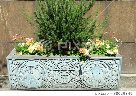 神戸旧居留地　街並み風景 88029349