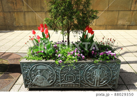 神戸旧居留地　街並み風景 88029350