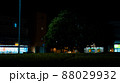 駅前の木 88029932