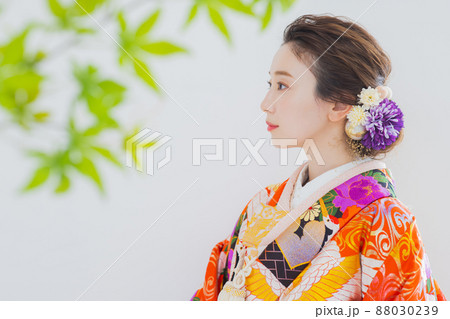 色打掛 花嫁 色打掛 花嫁 88030239