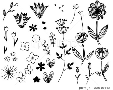 かわいい植物の手書きラフセットモノクロ 88030448