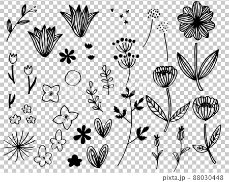 かわいい植物の手書きラフセットモノクロ 88030448