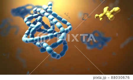 All chromosomal DNA is stored in the cell nucleus, separated from the cytoplasm by a membrane All chromosomal DNA is stored in the cell nucleus, separated from the cytoplasm by a membrane 88030676
