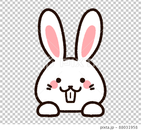 出っ歯のかわいいウサギ　白 88031958