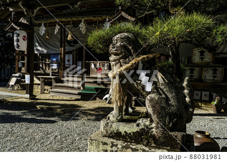 玉祖神社 88031981
