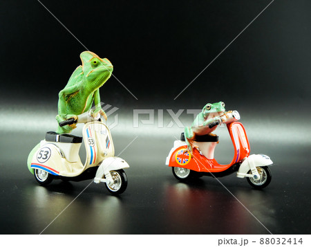 バイクに乗っているカメレオンとカエル バイクに乗っているカメレオンとカエル 88032414