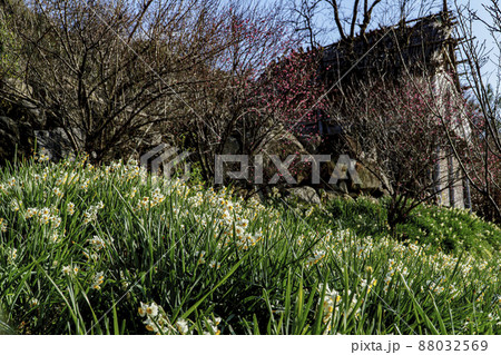 玉祖神社 玉祖神社 88032569