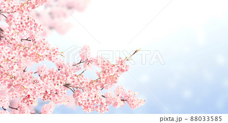 Horizontal banner with sakura flowers of pink color on sunny backdrop 88033585