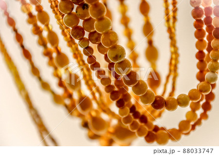 Fragments of amber close-up. Natural Amber Beads. 88033747