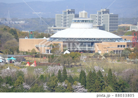 愛知県児童総合センターとサクラ（愛・地球博記念公園　モリコロパーク　愛知県 長久手市） 88033805