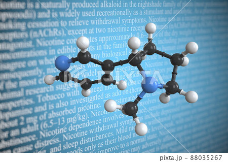 Molecular model of nicotine, 3D rendering 88035267
