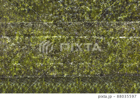 焼き海苔 使い勝手の良い万能背景 焼き海苔 使い勝手の良い万能背景 88035597