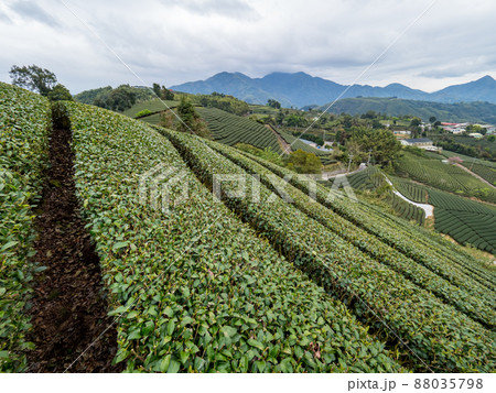 台湾 景色 風景 88035798