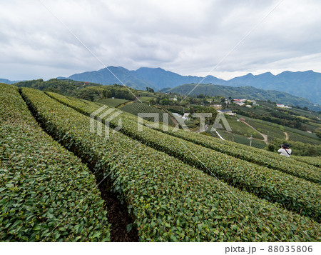 台湾 景色 風景 88035806