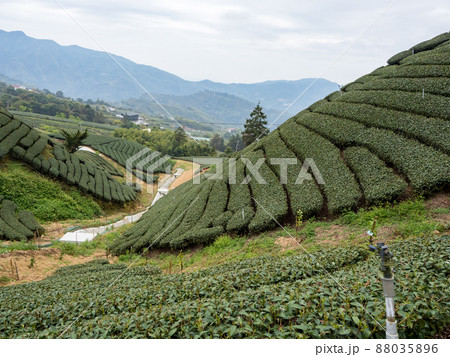 台湾 景色 風景 88035896