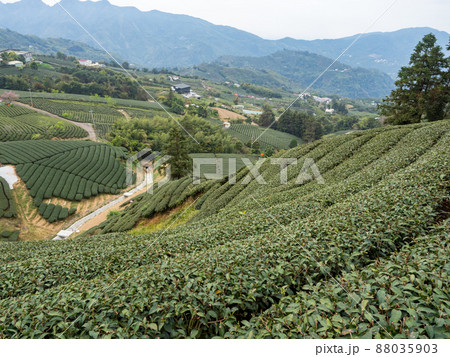 台湾 景色 風景 88035903