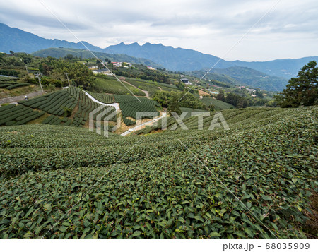 台湾 景色 風景 88035909