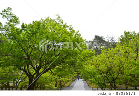 南禅寺の三門からの眺め（京都市左京区南禅寺福地町） 88036171