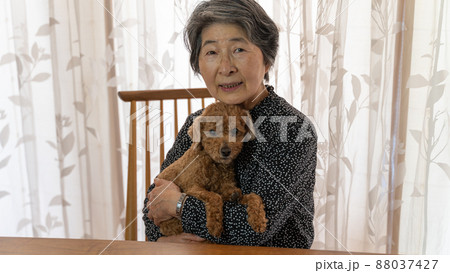 愛犬のトイプードルを抱きかかえた黒い服の高齢者女性 88037427