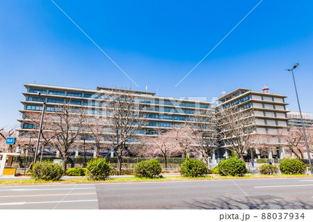 霞ヶ関　外務省 88037934