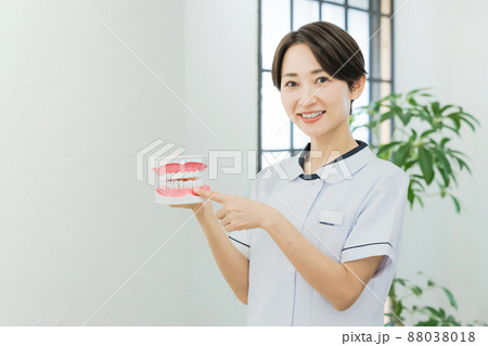 歯について指導する歯科衛生士 歯について指導する歯科衛生士 88038018