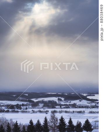 曇り空　冬　町 88038469