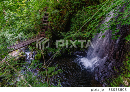 飛騨高山 夏の県立自然公園 宇津江四十八滝 飛騨高山 夏の県立自然公園 宇津江四十八滝 88038608