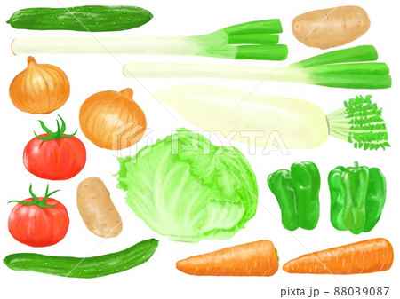 人参、じゃが芋、レタス、ネギ、大根、玉ねぎなどの普段使う野菜9点セットのリアルイラスト素材 88039087