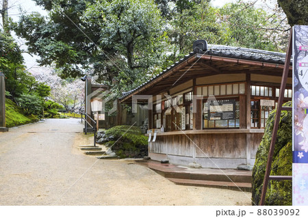 春の金沢兼六園 入場口 春の金沢兼六園 入場口 88039092