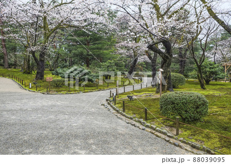 春の金沢兼六園 春の金沢兼六園 88039095