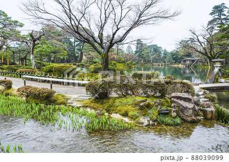 春の金沢兼六園 霞ヶ池 春の金沢兼六園 霞ヶ池 88039099