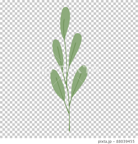 ナチュラルな葉っぱのイラストのイラスト素材