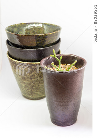 The ceramic mug has been adapted for planting small pot plants The ceramic mug has been adapted for planting small pot plants 88039561