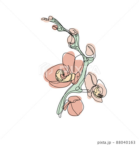 One single line drawing of orchid flower and pastel neutral shapes 88040163